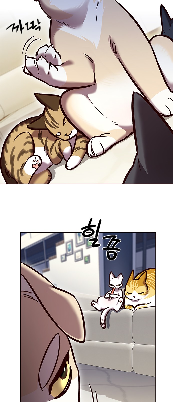 6 페이지