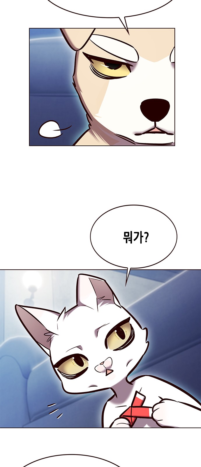 17 페이지