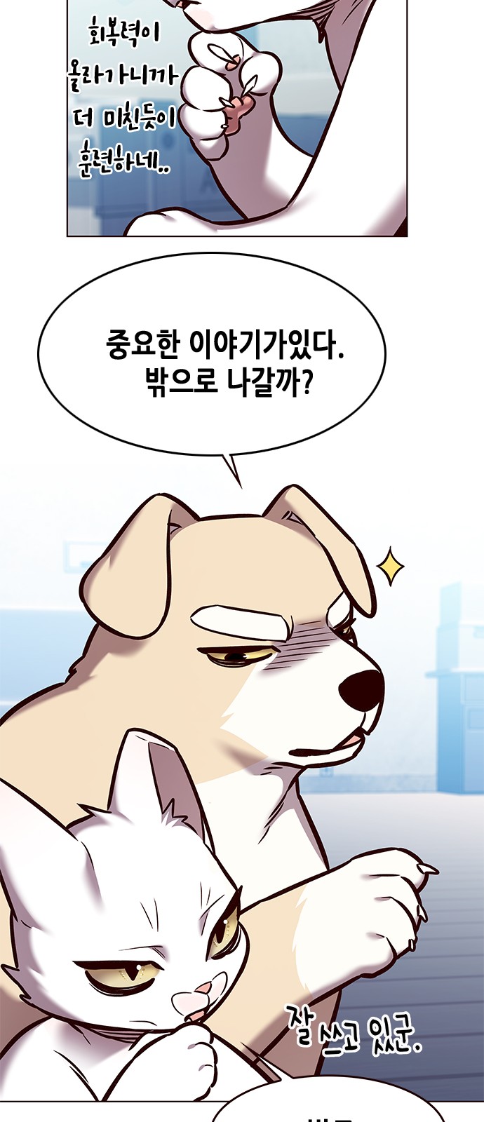 52 페이지