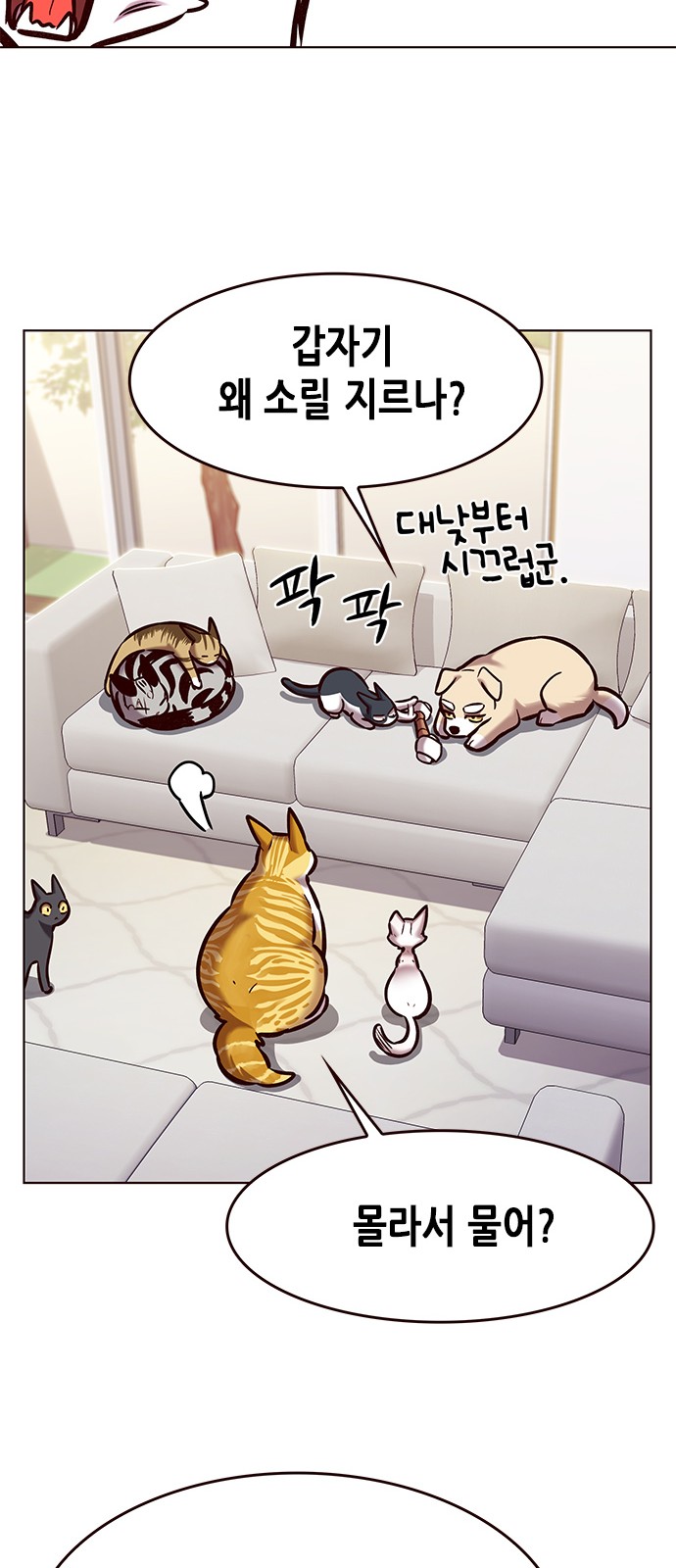 5 페이지