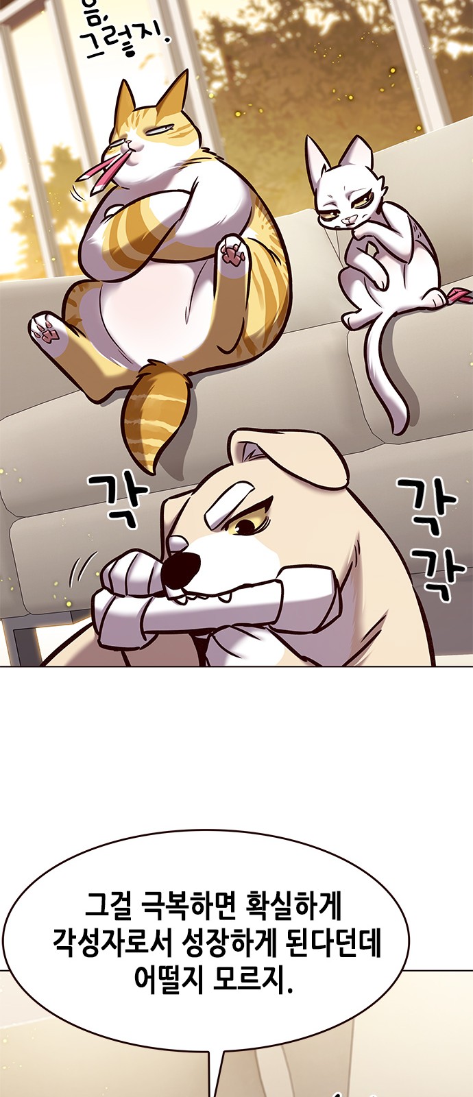 14 페이지