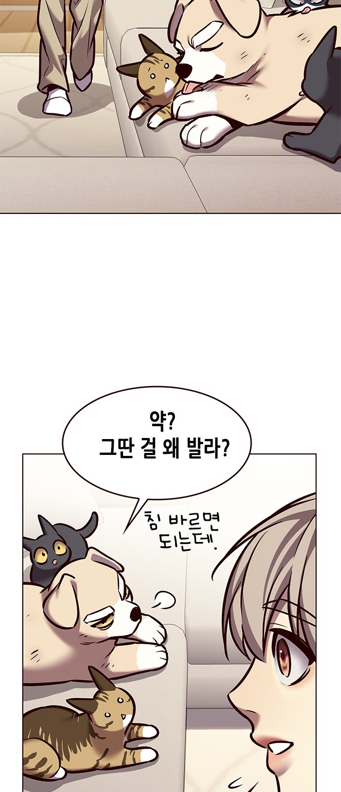 34 페이지