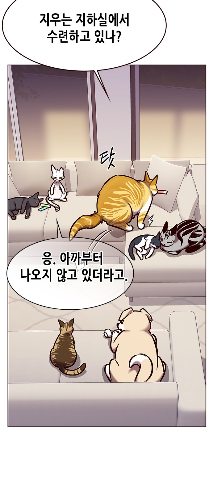 54 페이지