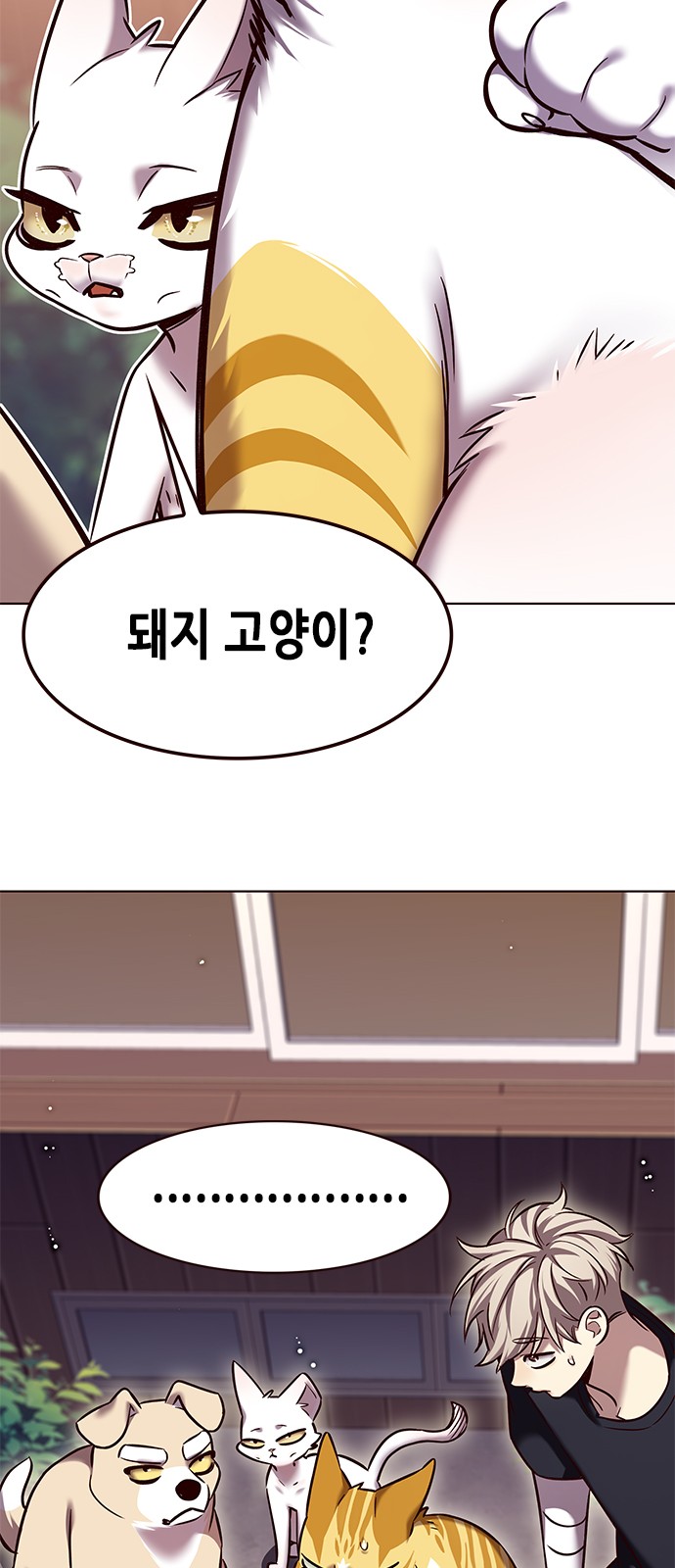 43 페이지