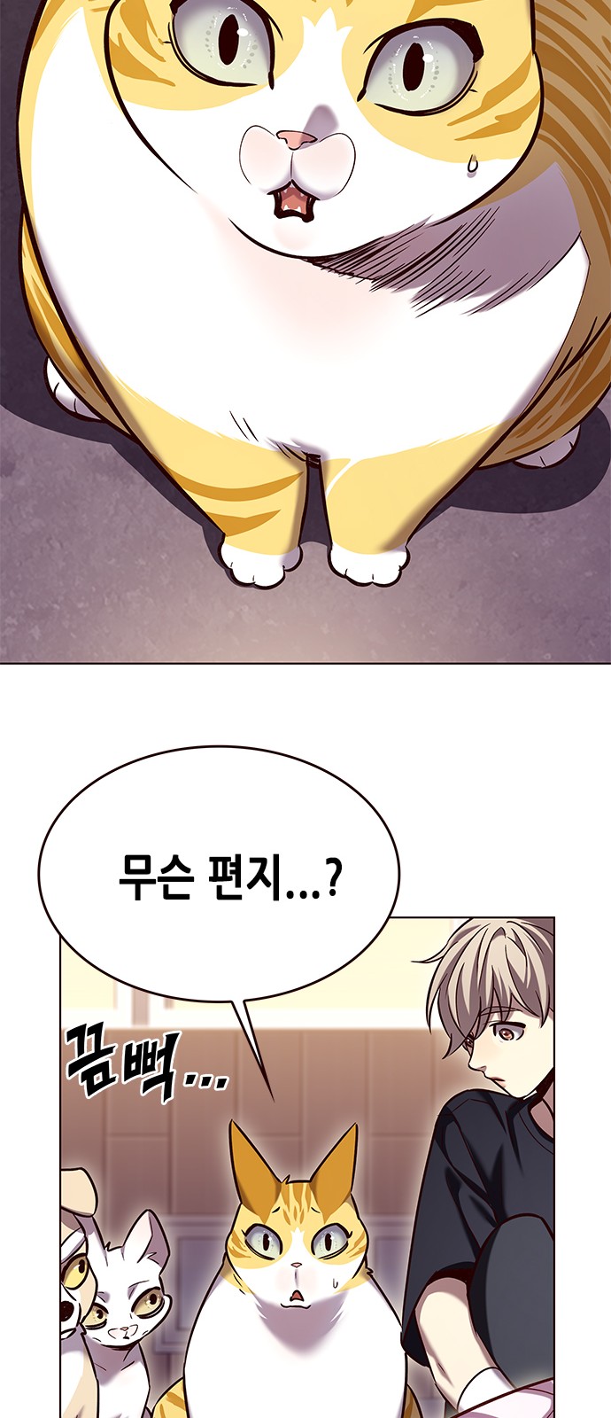 51 페이지