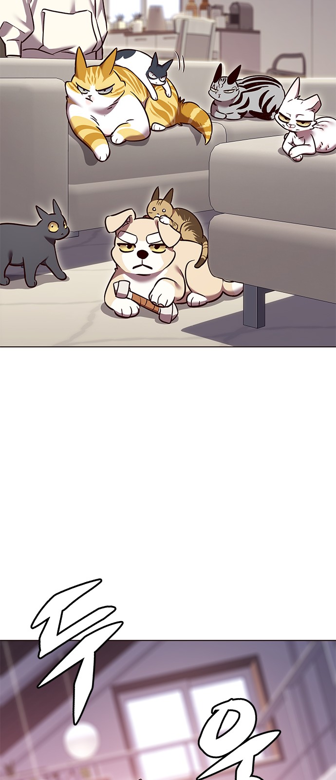 27 페이지