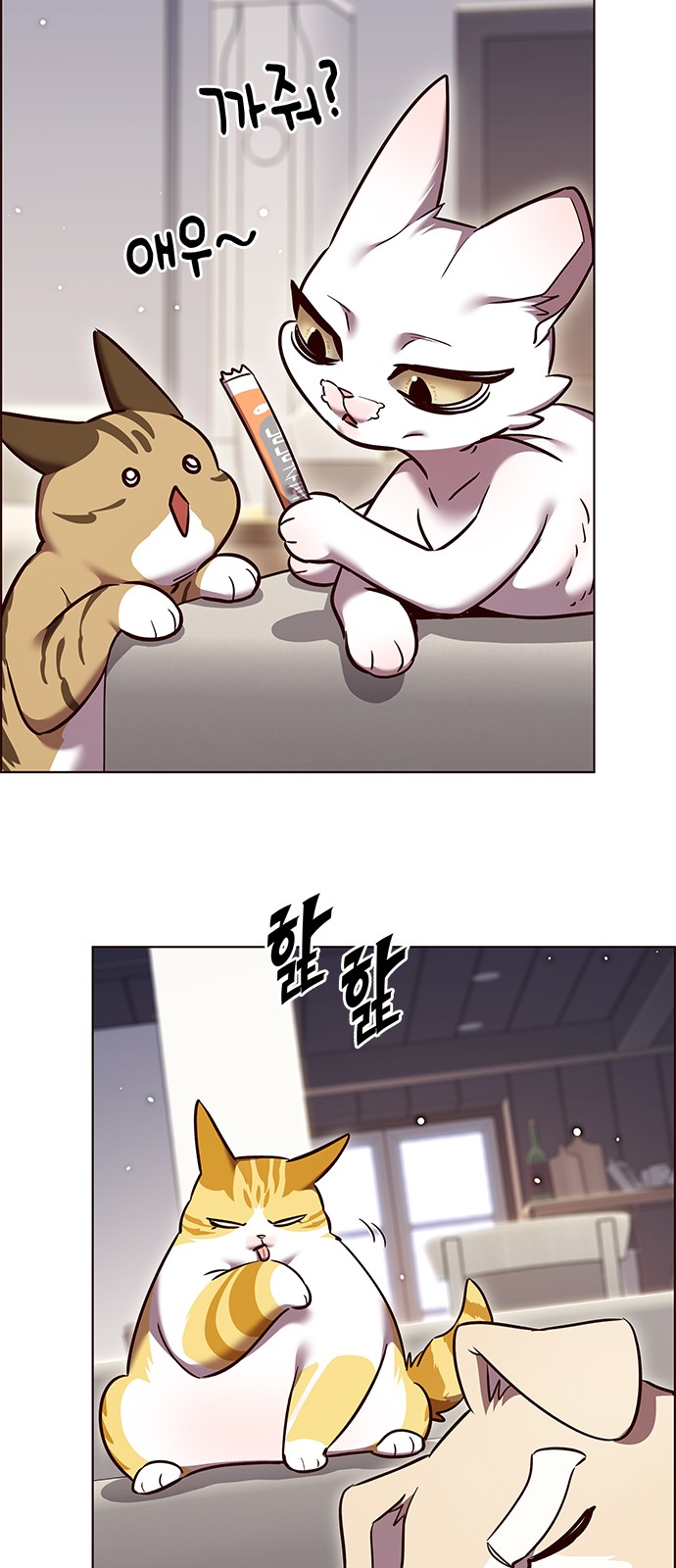 51 페이지