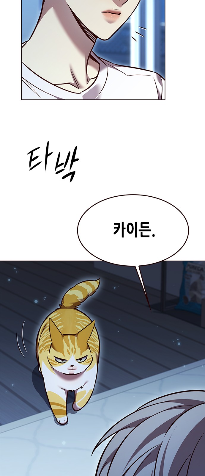 62 페이지