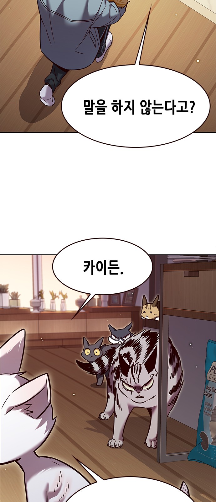 37 페이지