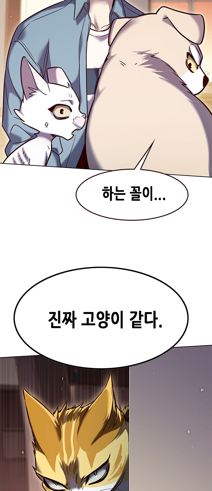 44 페이지
