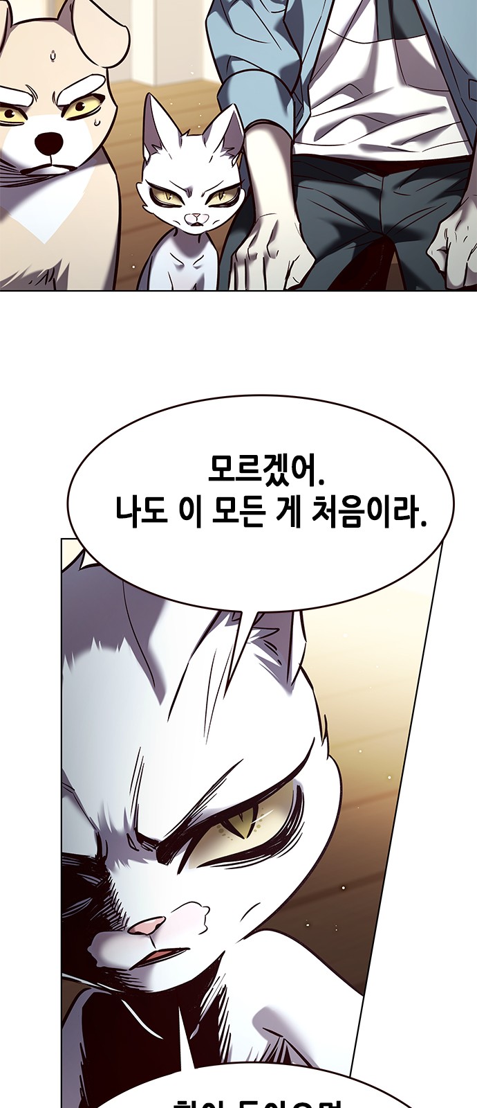 56 페이지