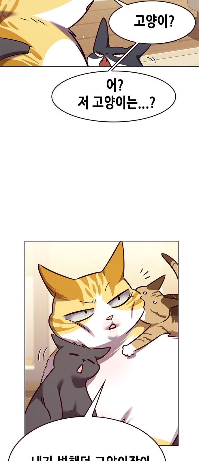 77 페이지