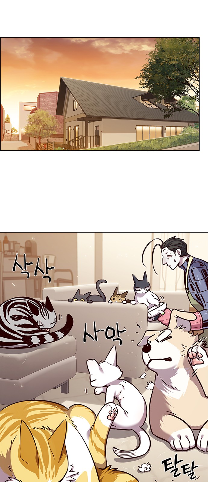 8 페이지