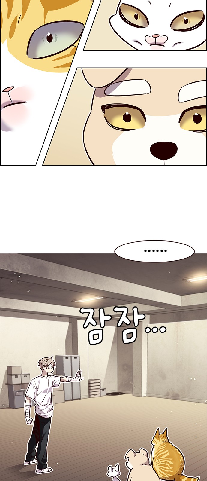 35 페이지