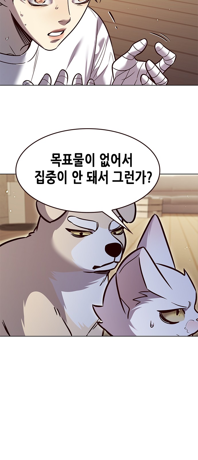 41 페이지