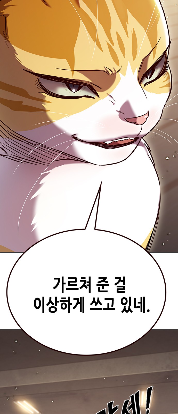 97 페이지