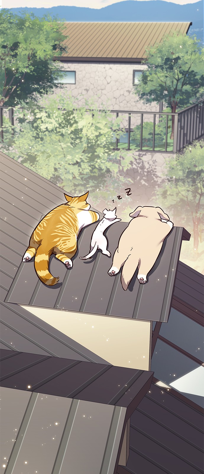 30 페이지