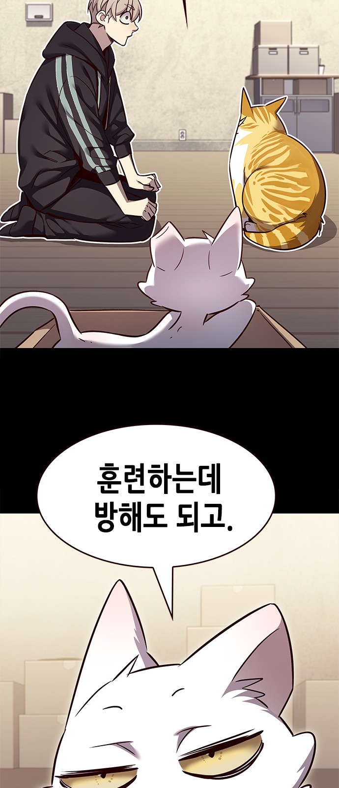 48 페이지