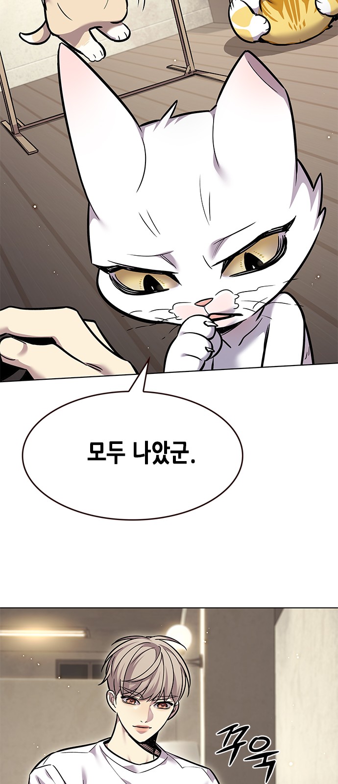 49 페이지