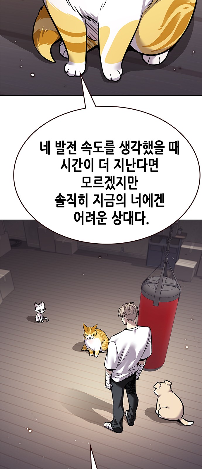 85 페이지