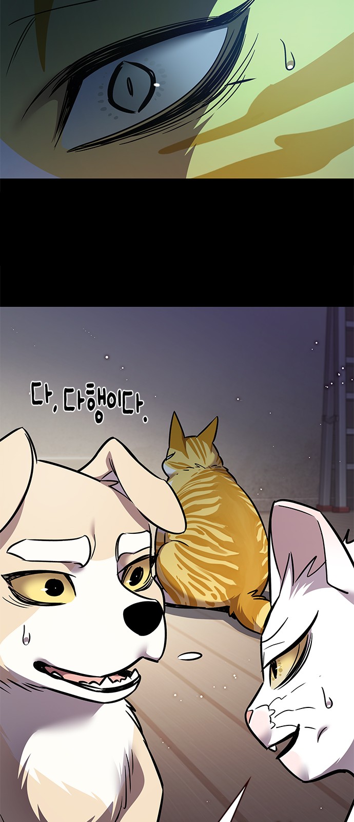 19 페이지