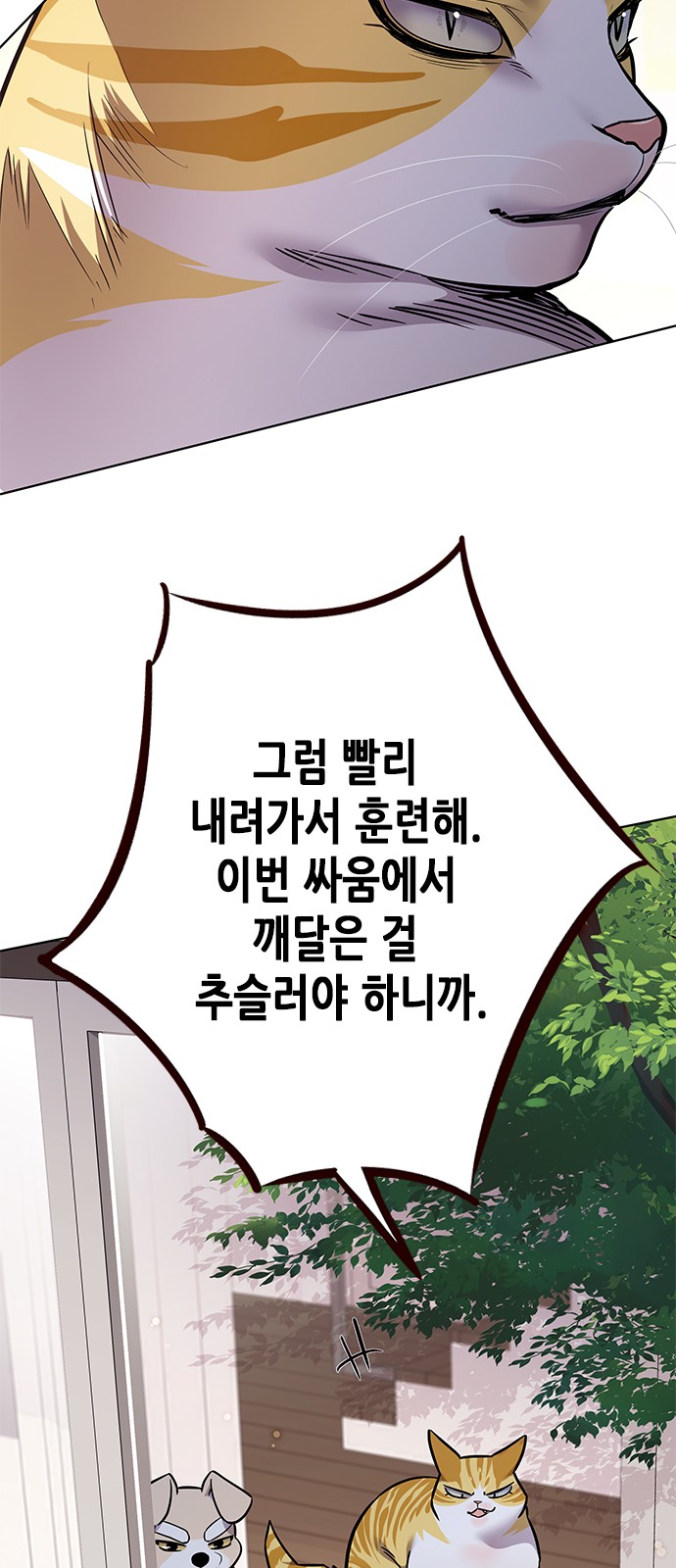 72 페이지