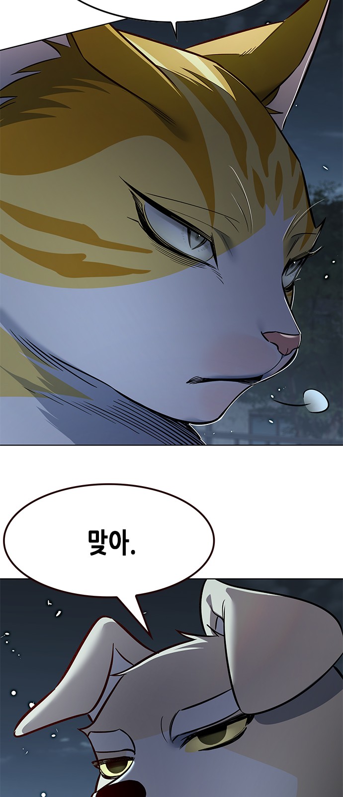 102 페이지