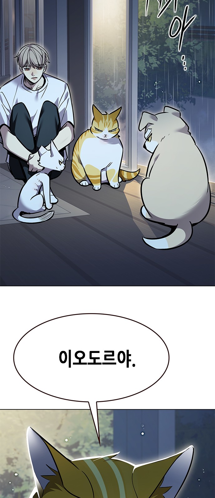 56 페이지