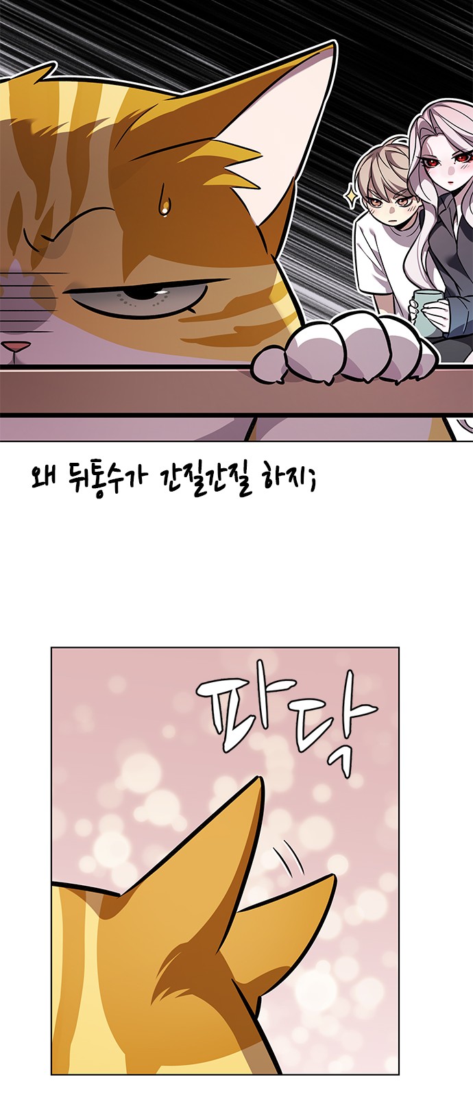 97 페이지