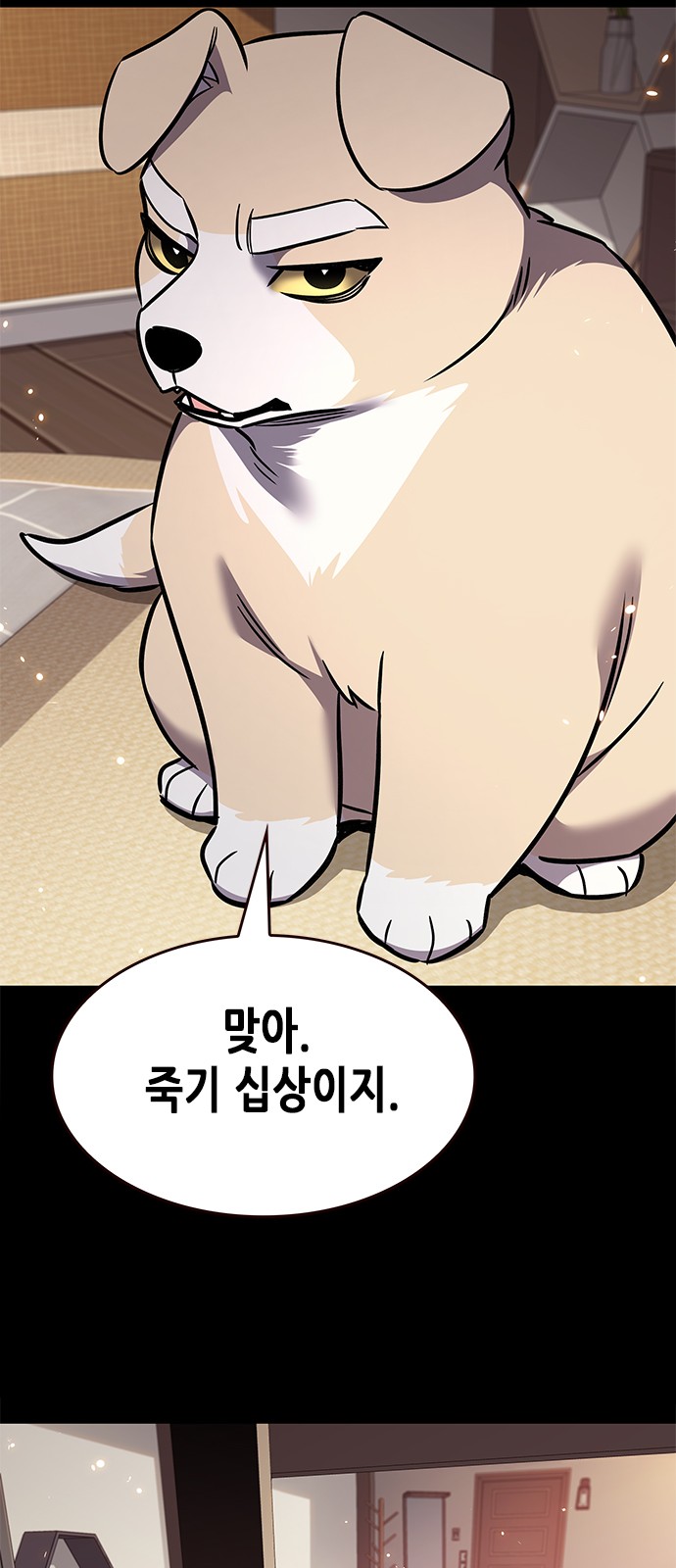 79 페이지