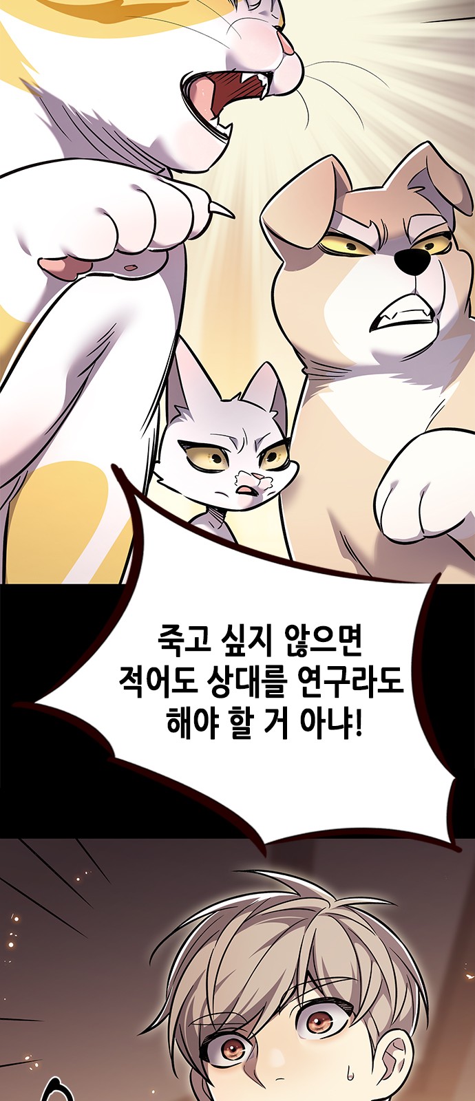 84 페이지