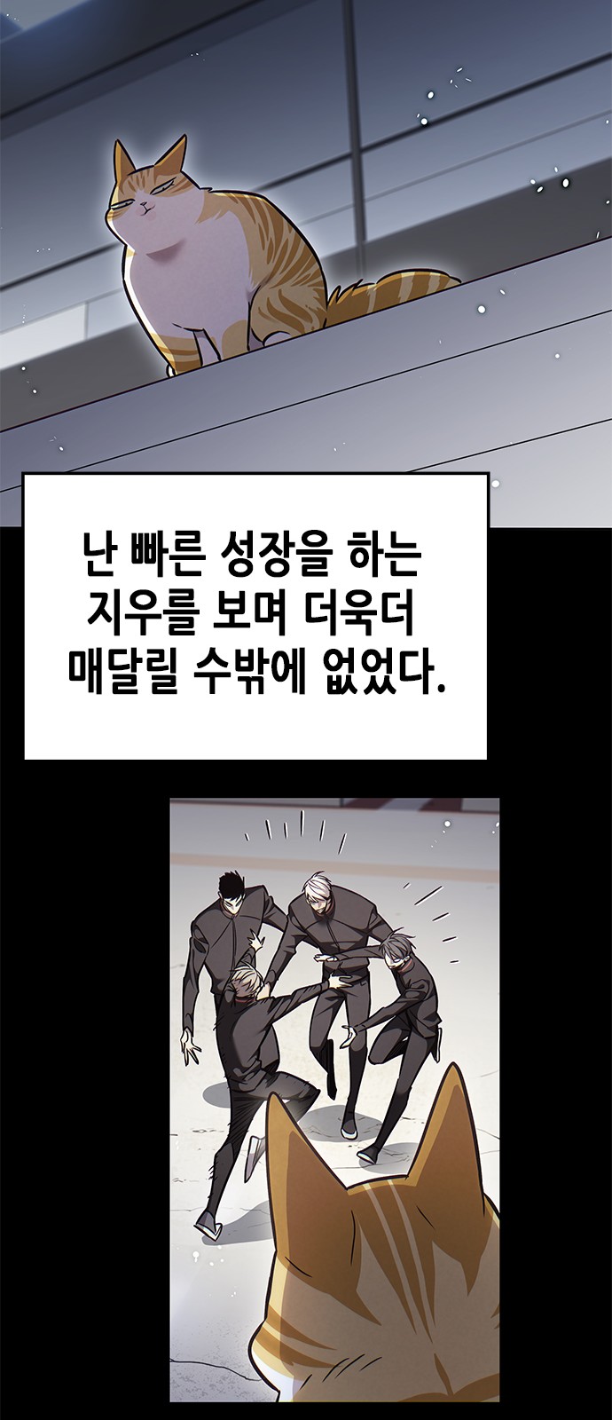 15 페이지