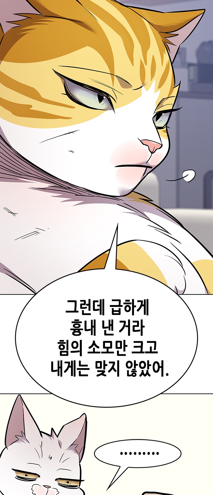 77 페이지