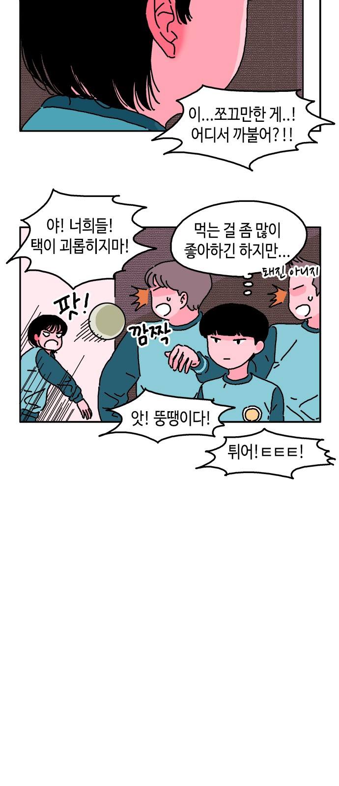 5 페이지