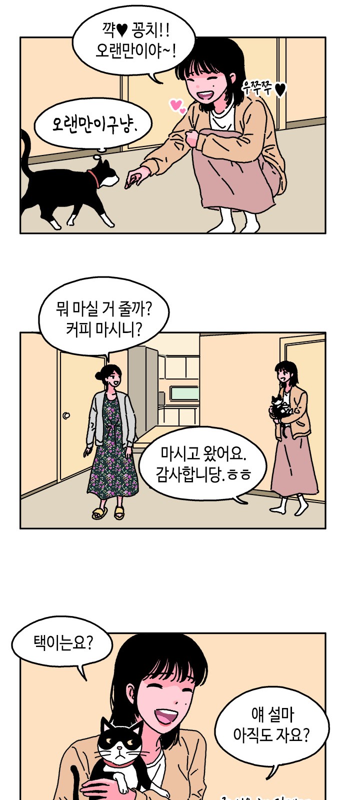 20 페이지