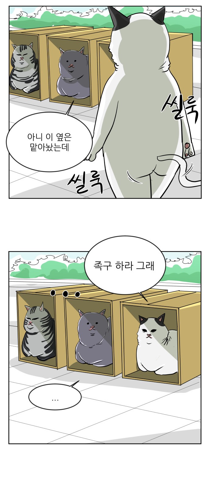 17 페이지