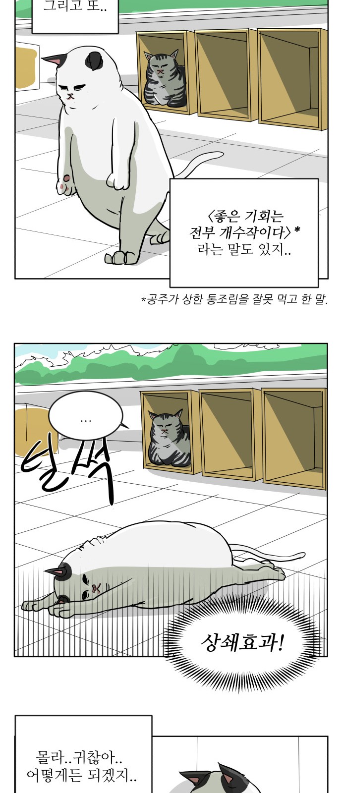 30 페이지