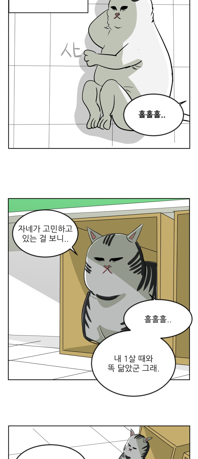 31 페이지