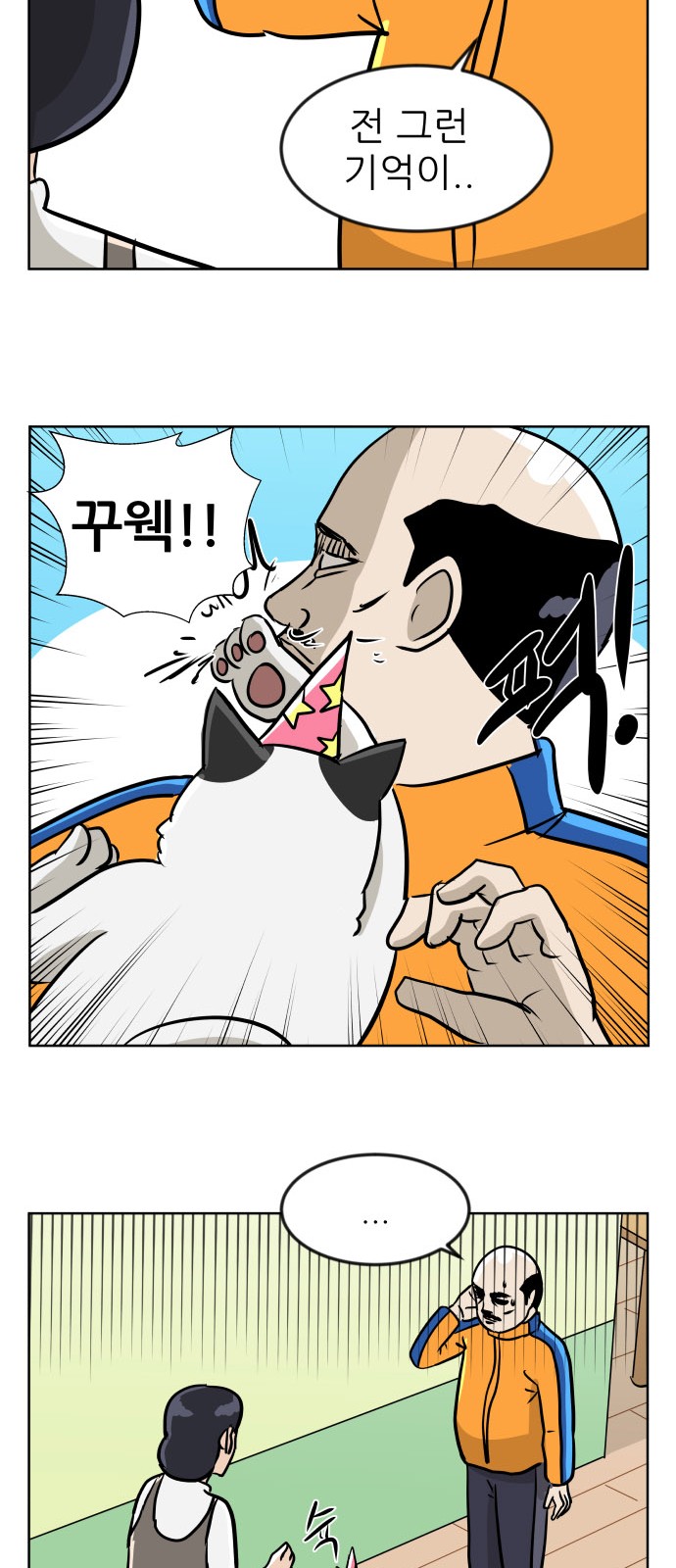 35 페이지