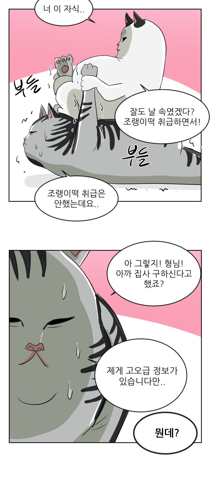 5 페이지