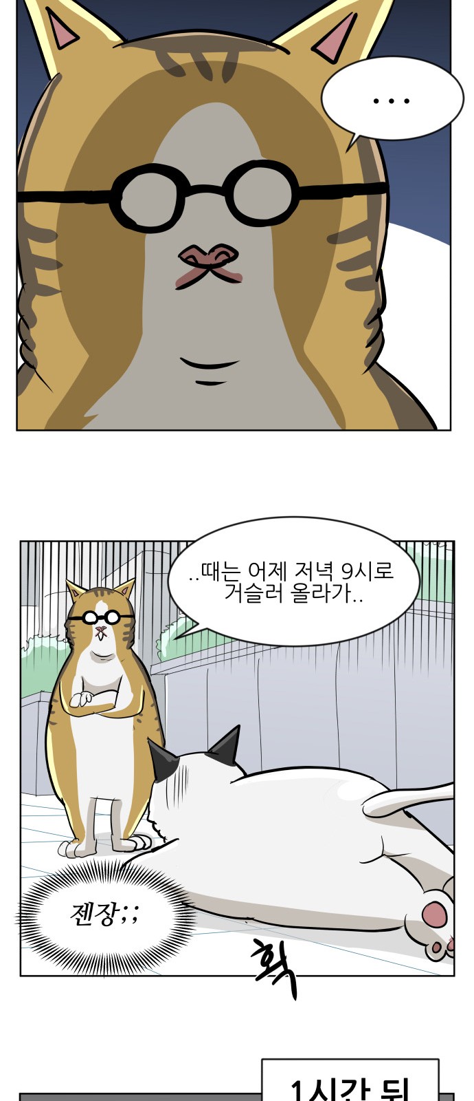11 페이지