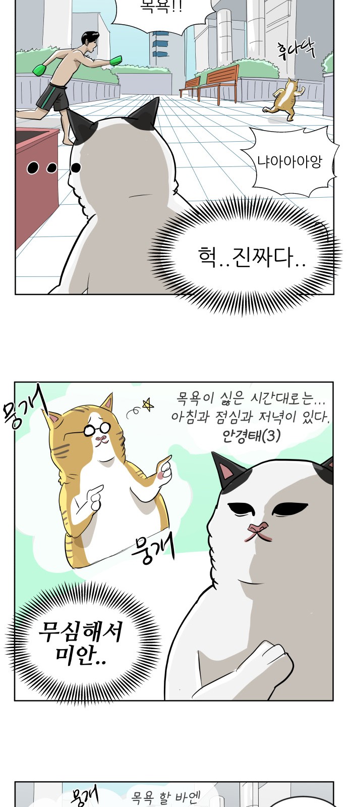 17 페이지