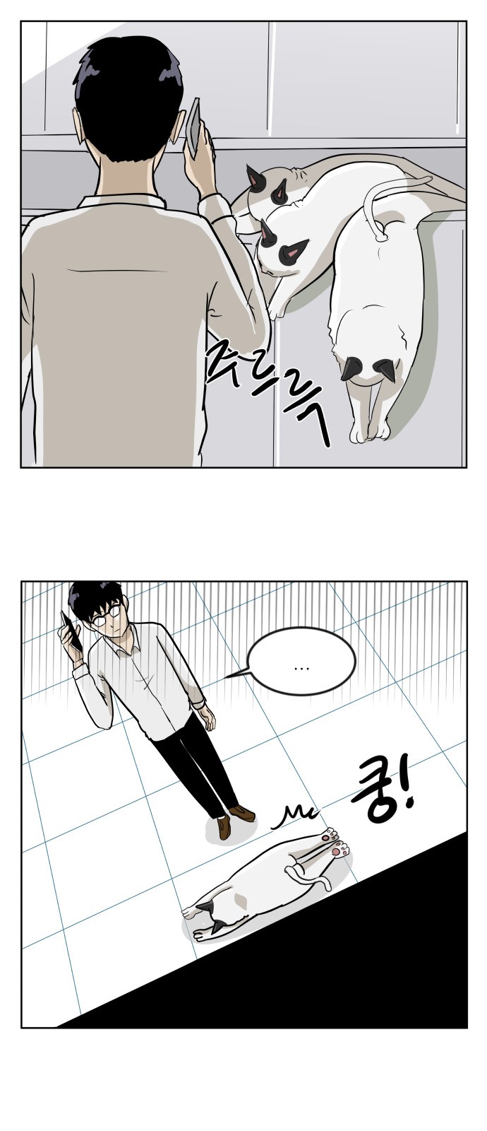 5 페이지
