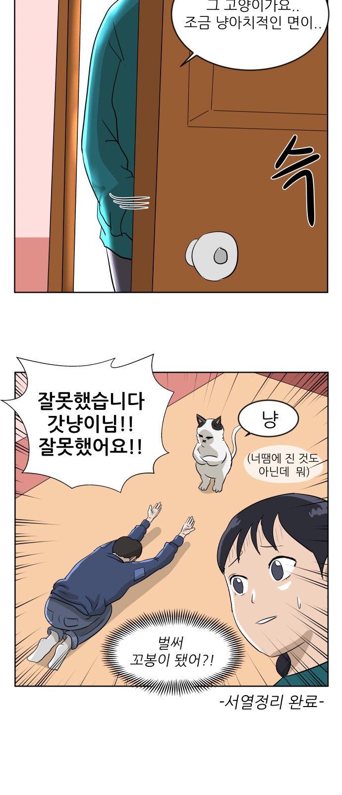 13 페이지