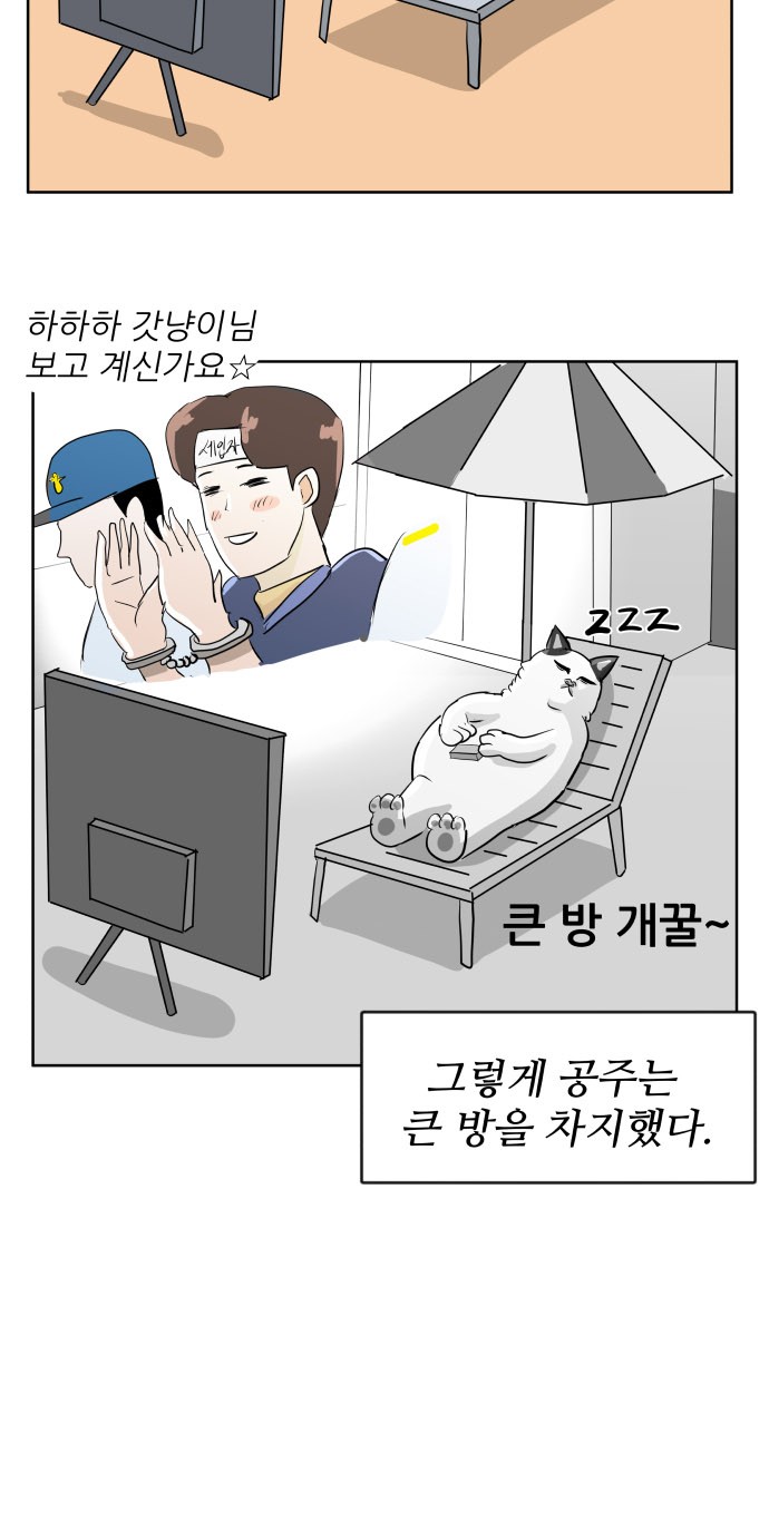 41 페이지