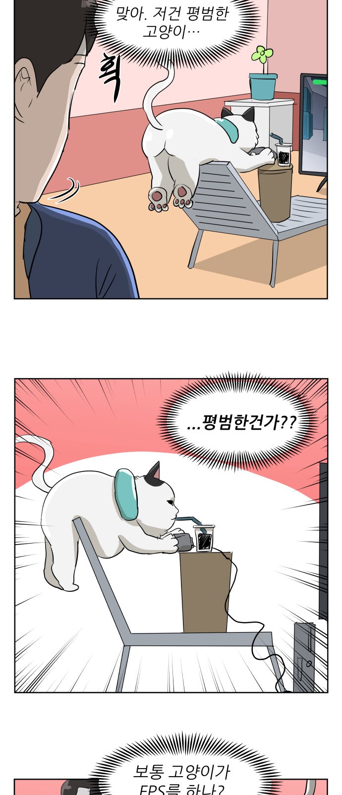 8 페이지