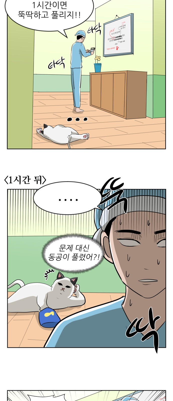 11 페이지