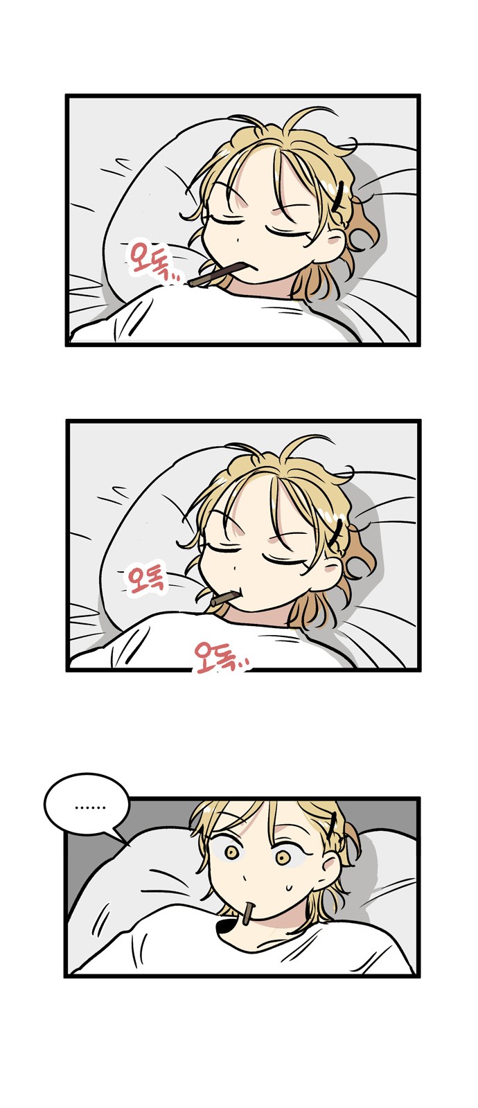 15 페이지
