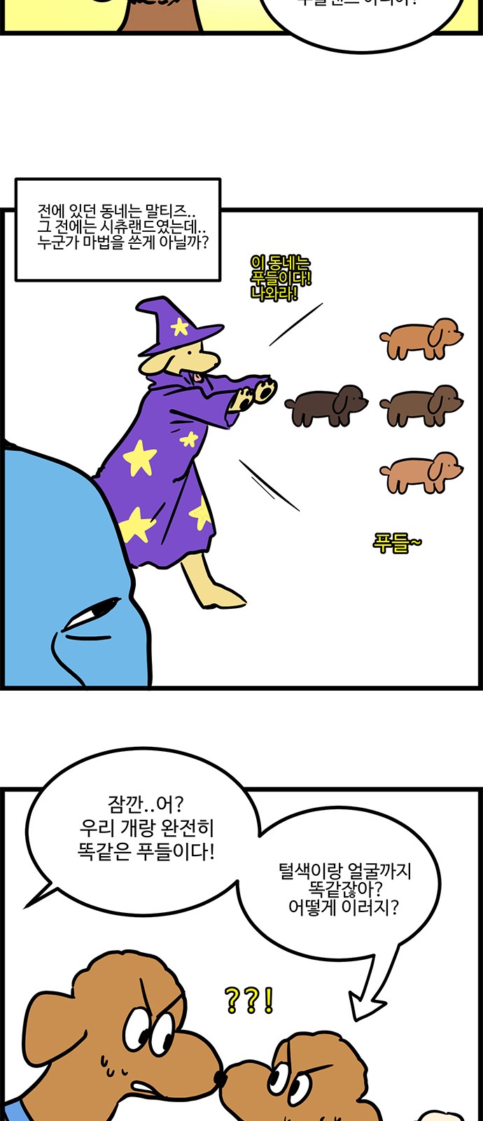 13 페이지