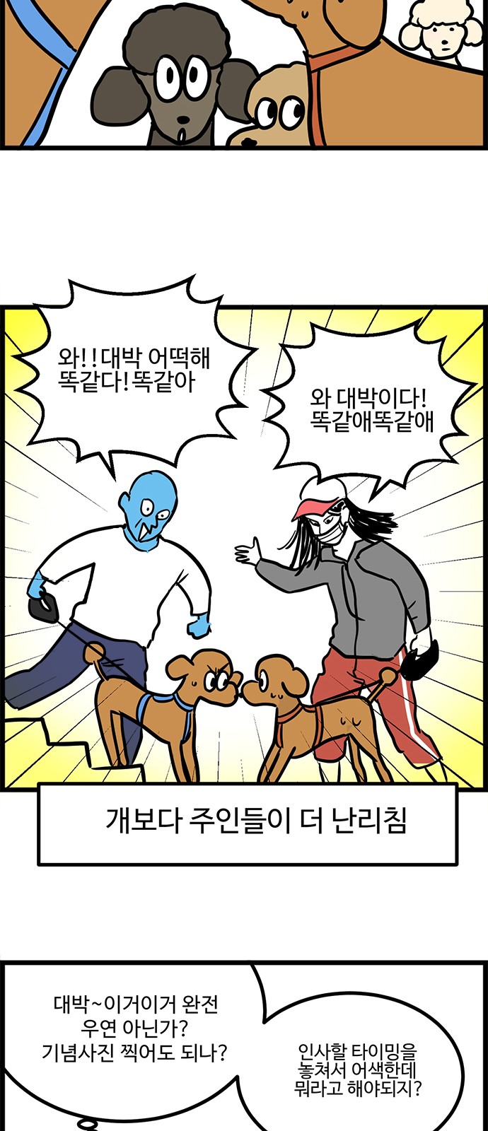 14 페이지